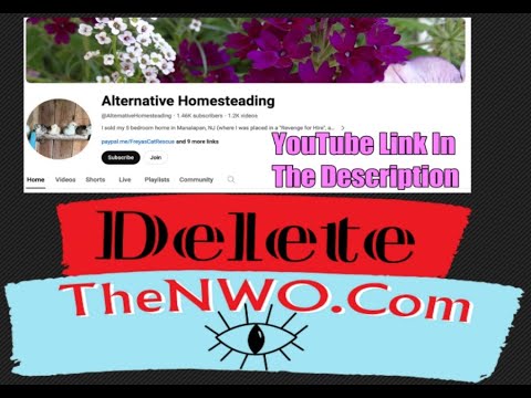 TI Conversation - Viorel & Lorraine Part 1
