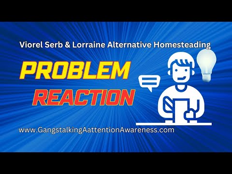 TI Conversation - Viorel & Lorraine Part 2