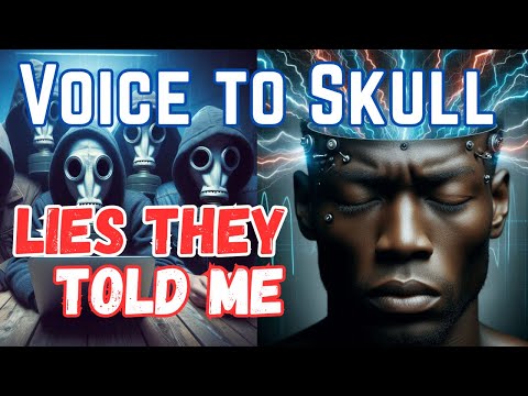 V2K - Lies the Perpetrators Told