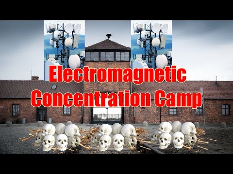 Electromagnetic Concentration Camp
